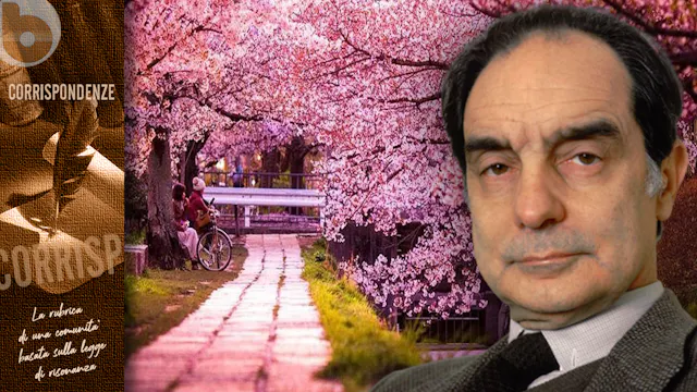 CHI E COSA, IN MEZZO ALL’INFERNO, NON...