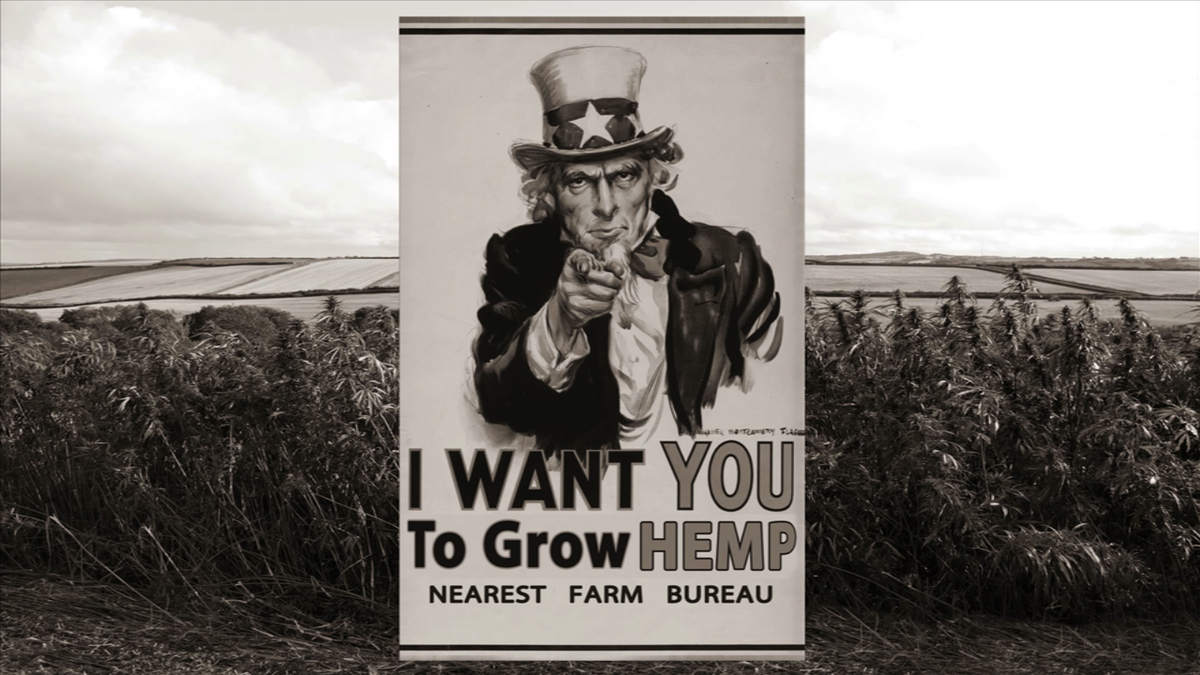 Bringing it Home Bonus Still 4 - Uncle Sam Hemp