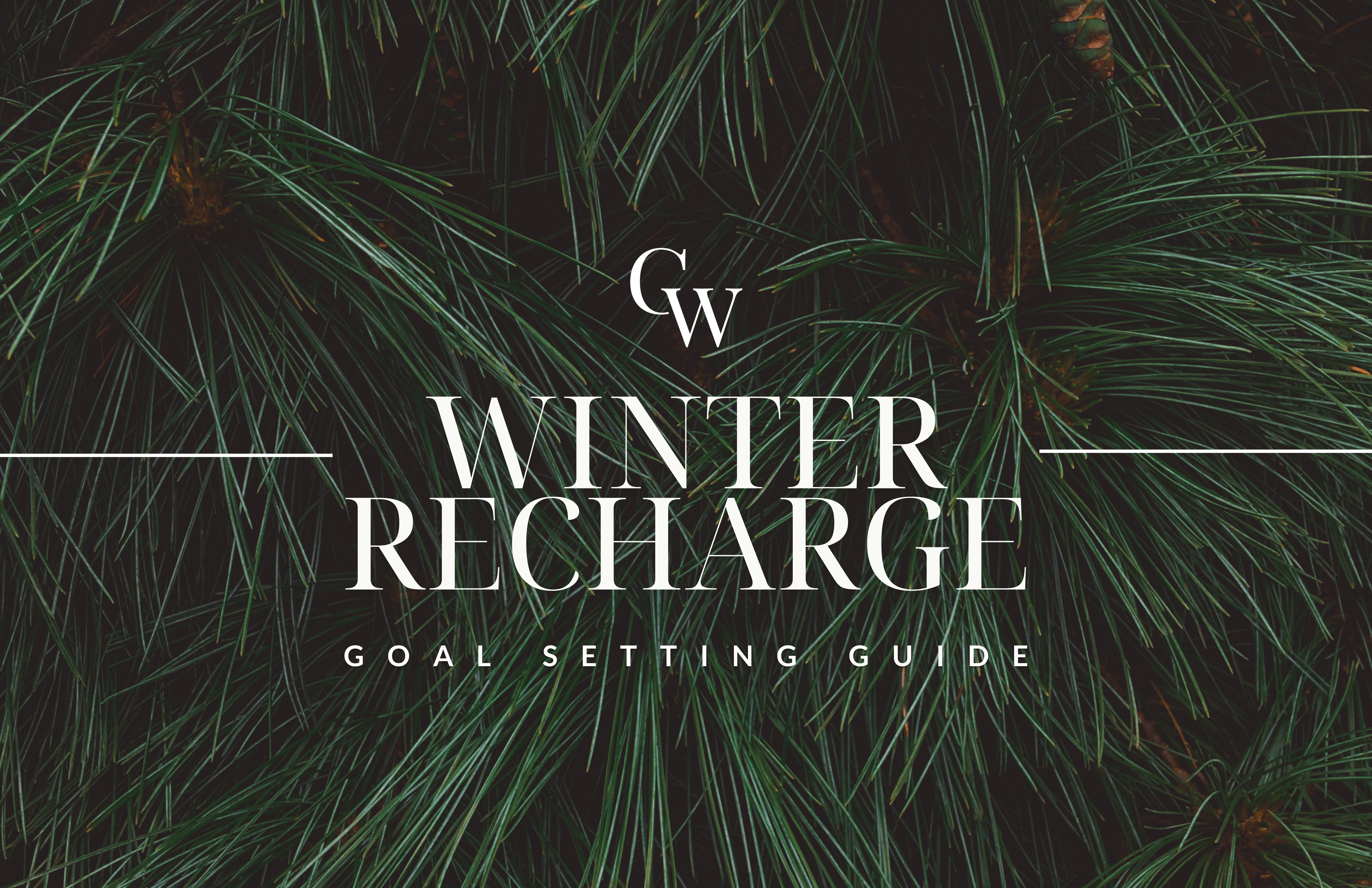 Goal Setting Guide