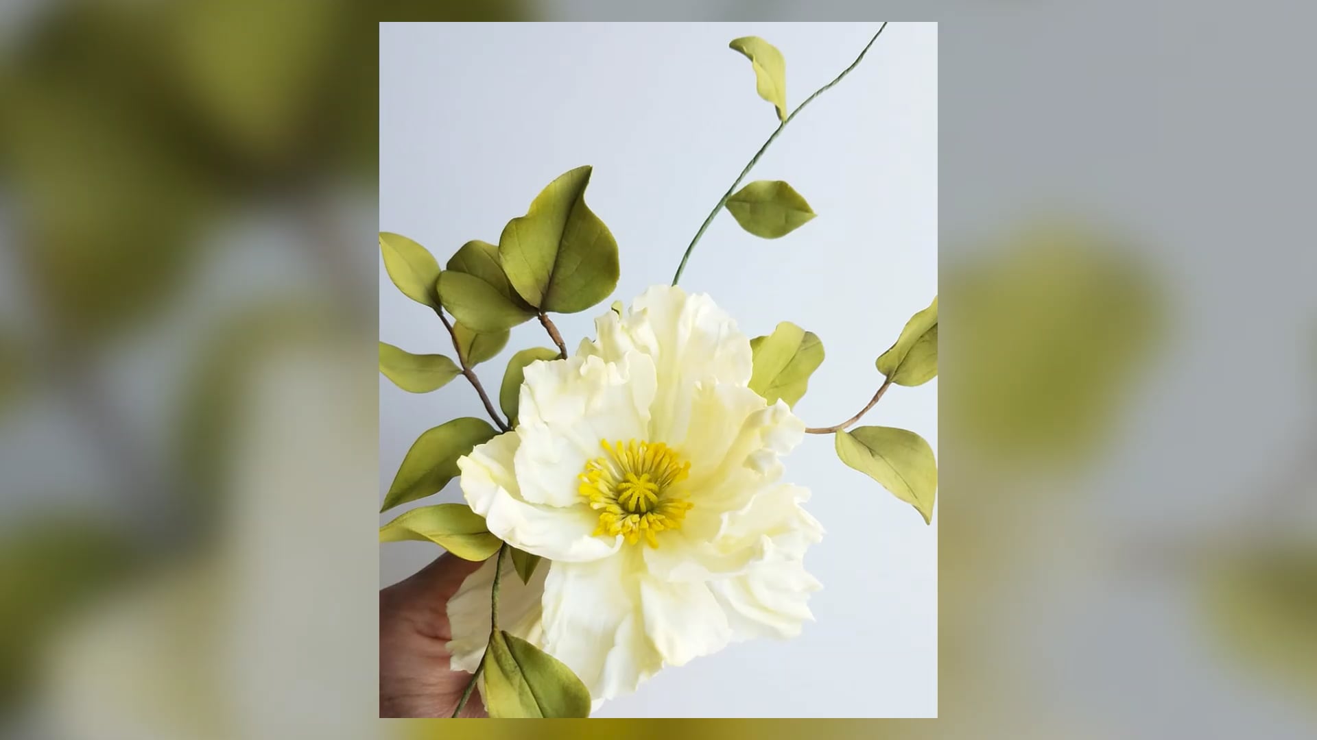 Nicholas Lodge's Tylose Gumpaste