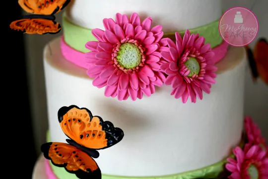 Smooth Buttercream Finish Class (Viva)