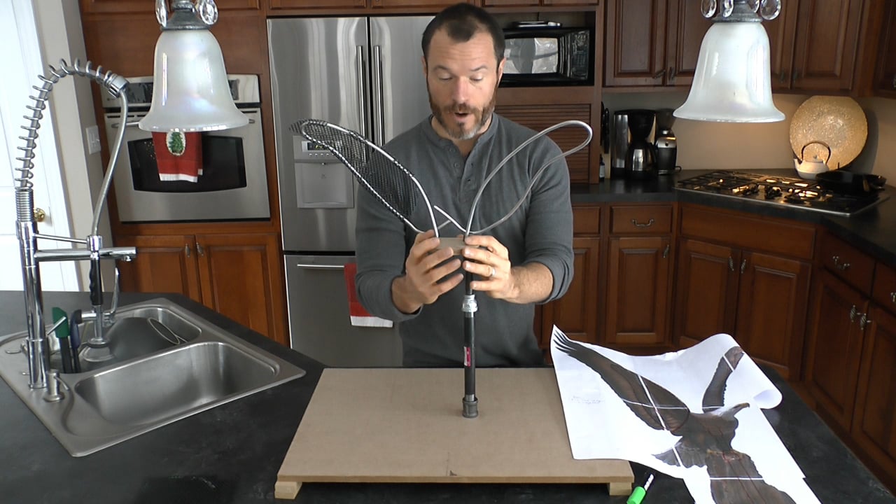 Eagle Cake, Part 1: Structure & Cake building