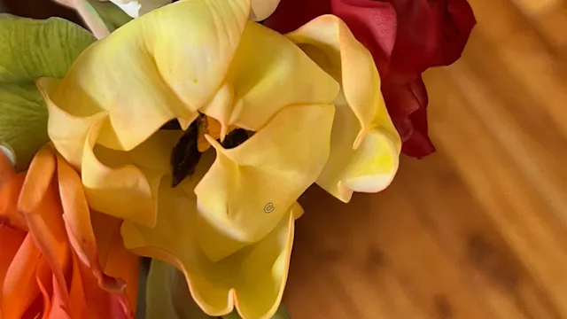 Making Tulips (fantasy)