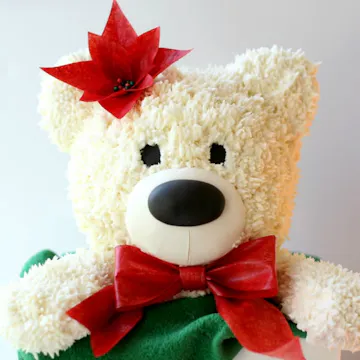 Teddy Present, part 2