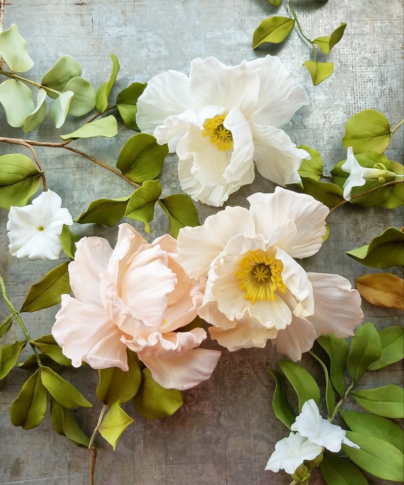 Live! Sugar Poppies & Vines with Jacqueline Butler of Petalsweet Cakes!
