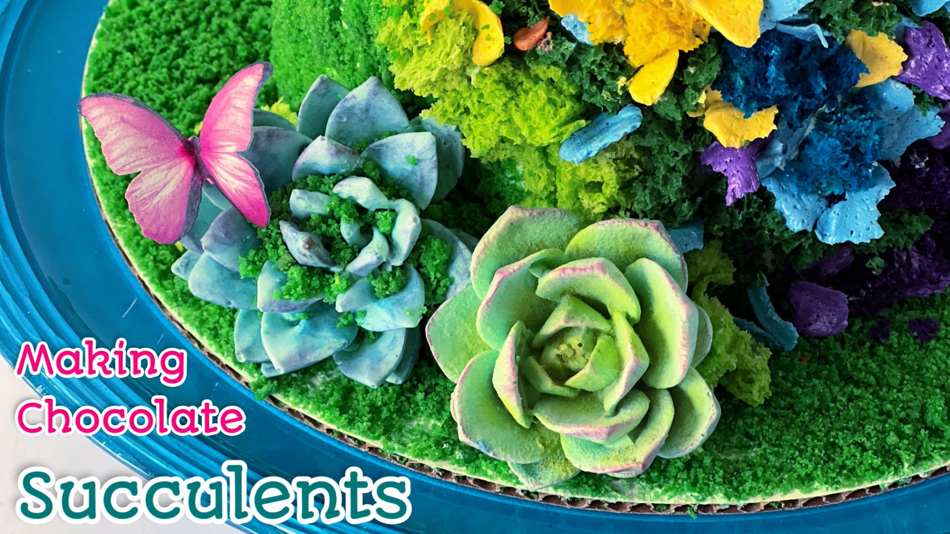 succulents