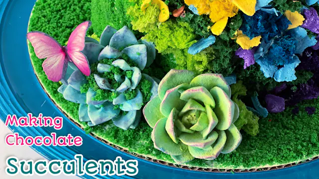 succulents