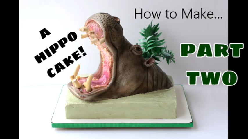 Hippo Cake; Part Two