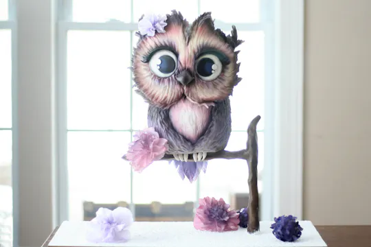 Owl Structured Cake, Part 1