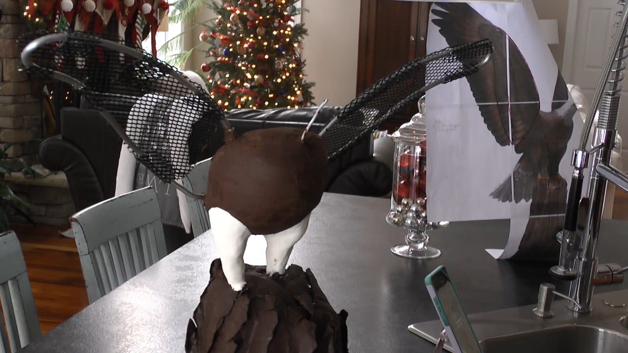 Eagle Cake, Part 2; Covering and Adding Details