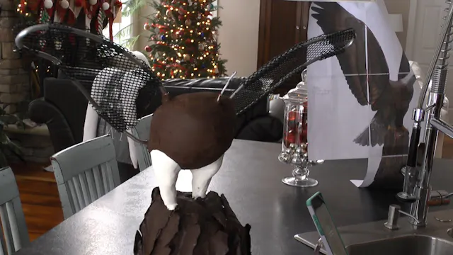 Eagle Cake, Part 2; Covering and Addi...