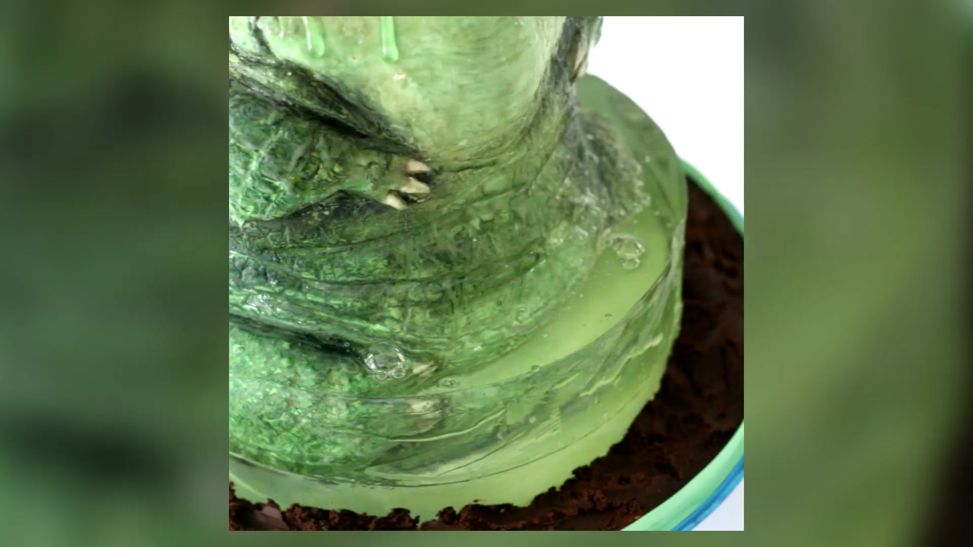 Jello-like Jelly Recipe (used in Alligator Cake Project)