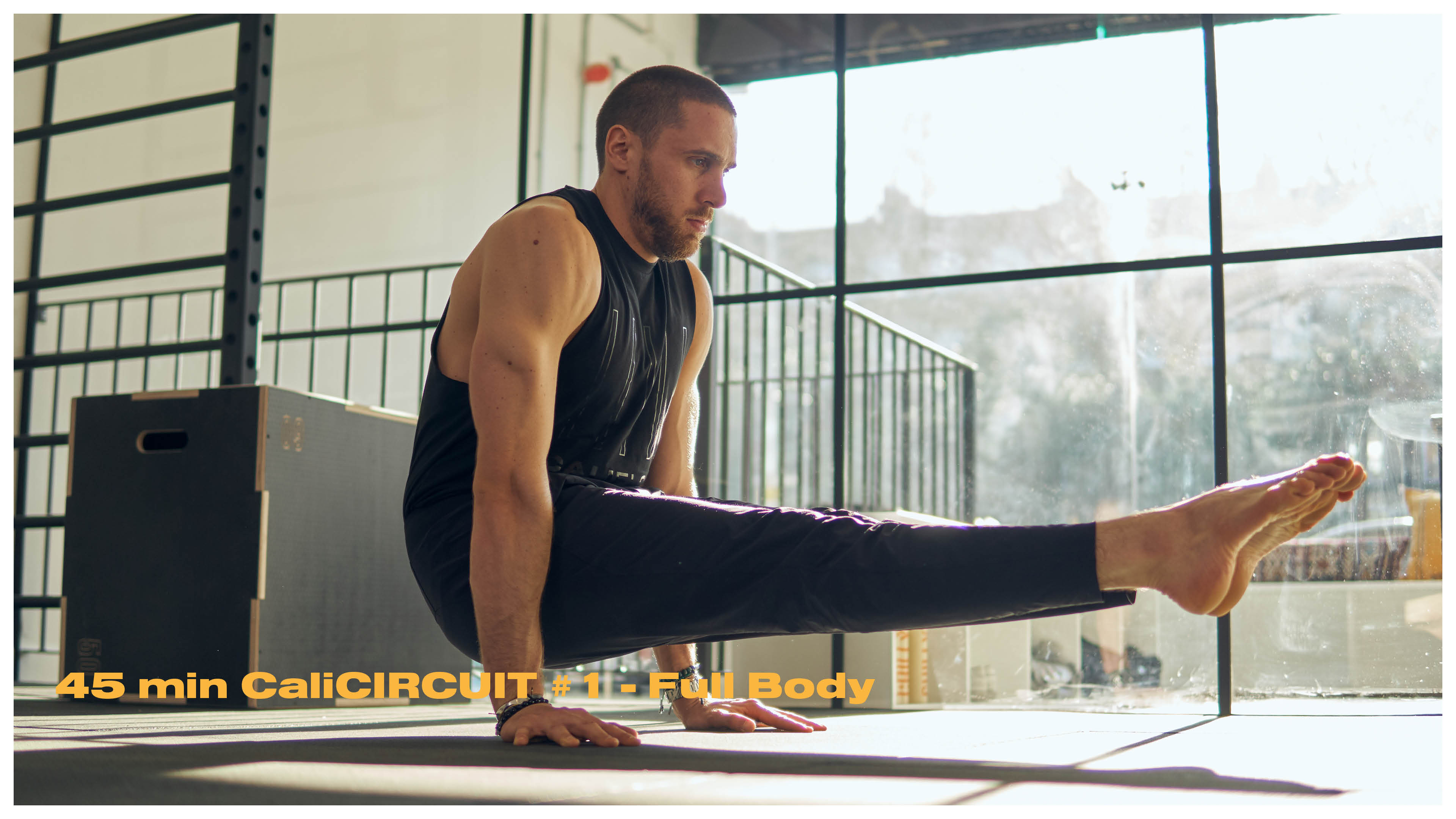 45min CaliCIRCUIT Full Body #1