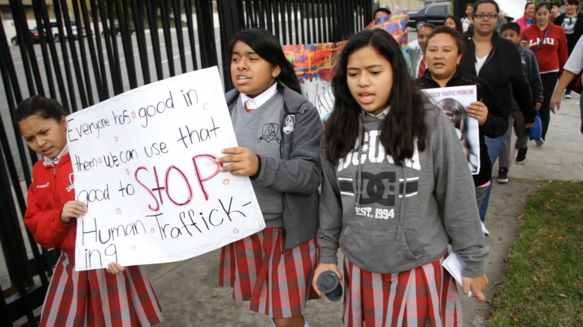 1 Year Educational Screenings Subscription License