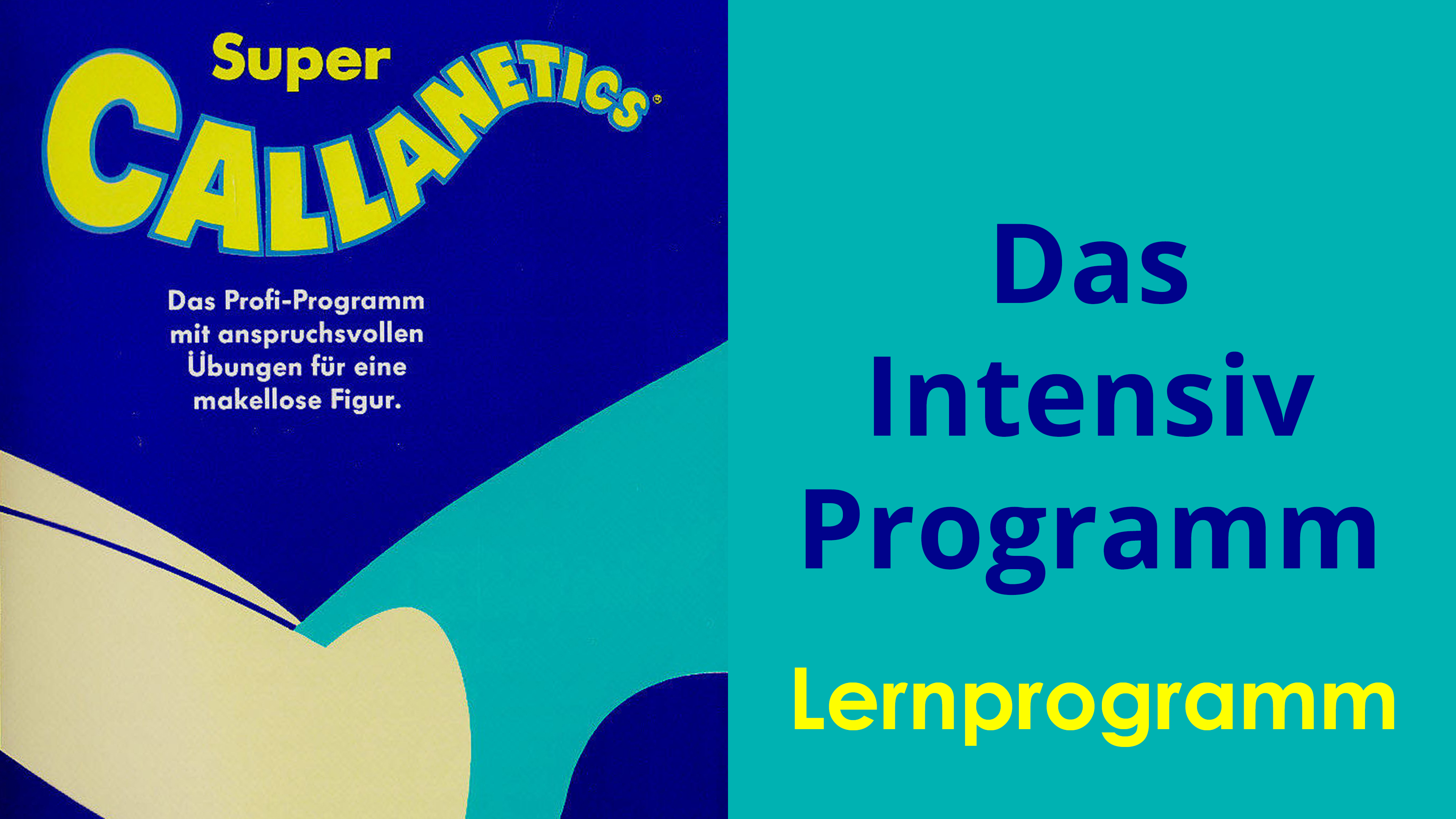 Das Intensiv-Programm - Lernprogramm