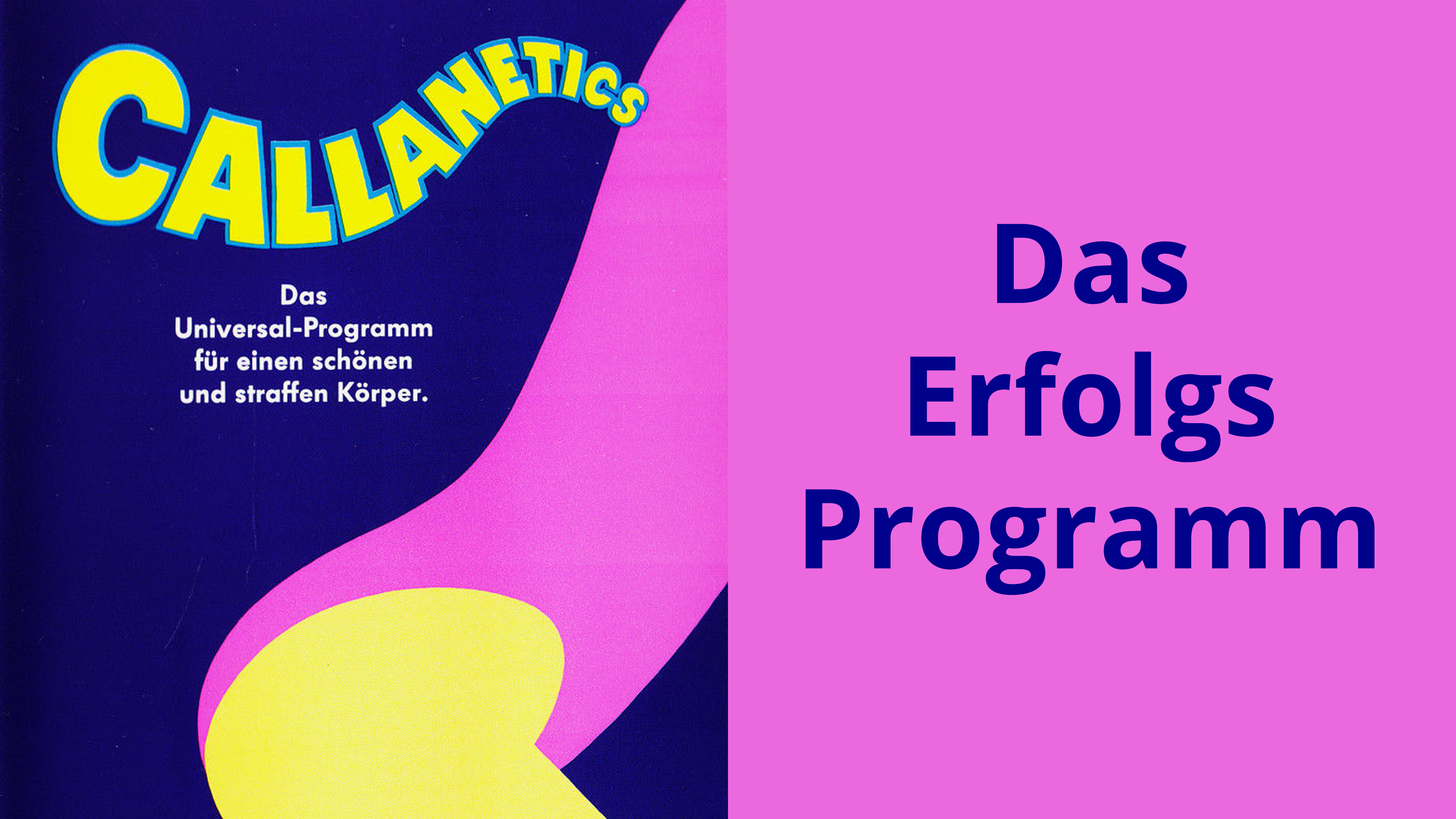 Das Erfolgs-Programm (Deutsch/German) 