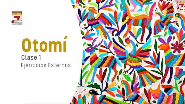 Otomi Clase 1 - Ejercicios Externos 