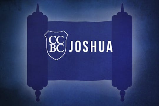 Joshua 13