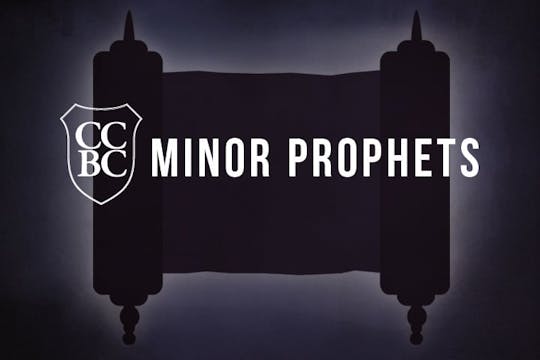 Minor Prophets - Brent Yim