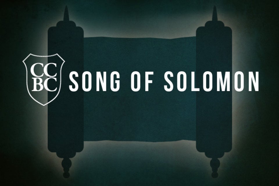 Song of Solomon 7:1-8:4 part 2