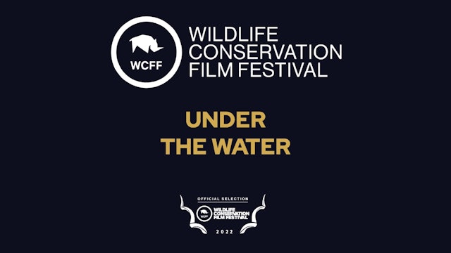 WCFF 2022 Under the Water