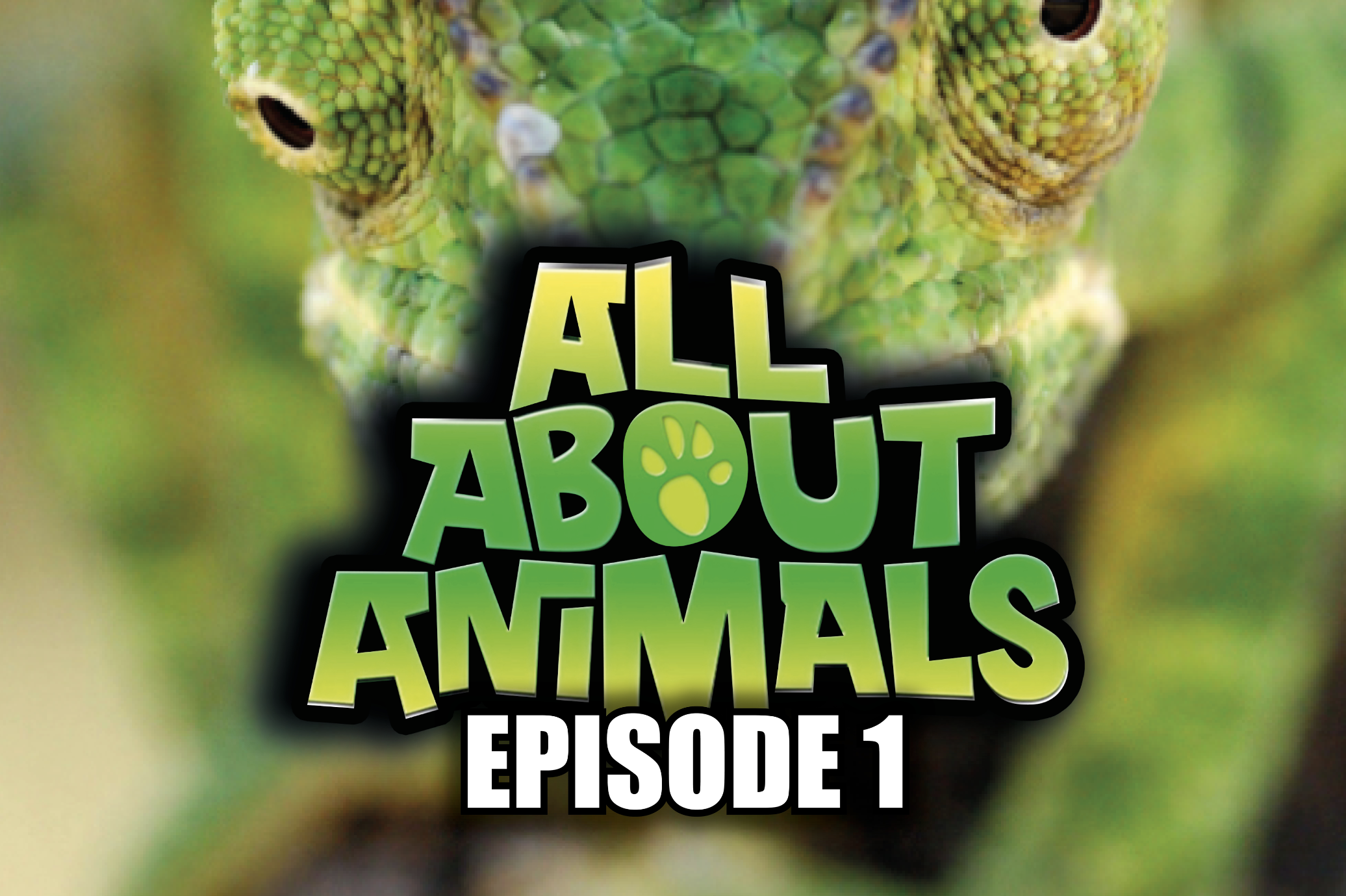 All About Animals - Series 1 - Episode 1 
