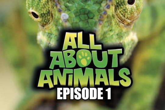 All About Animals - Series 1 - Episod...
