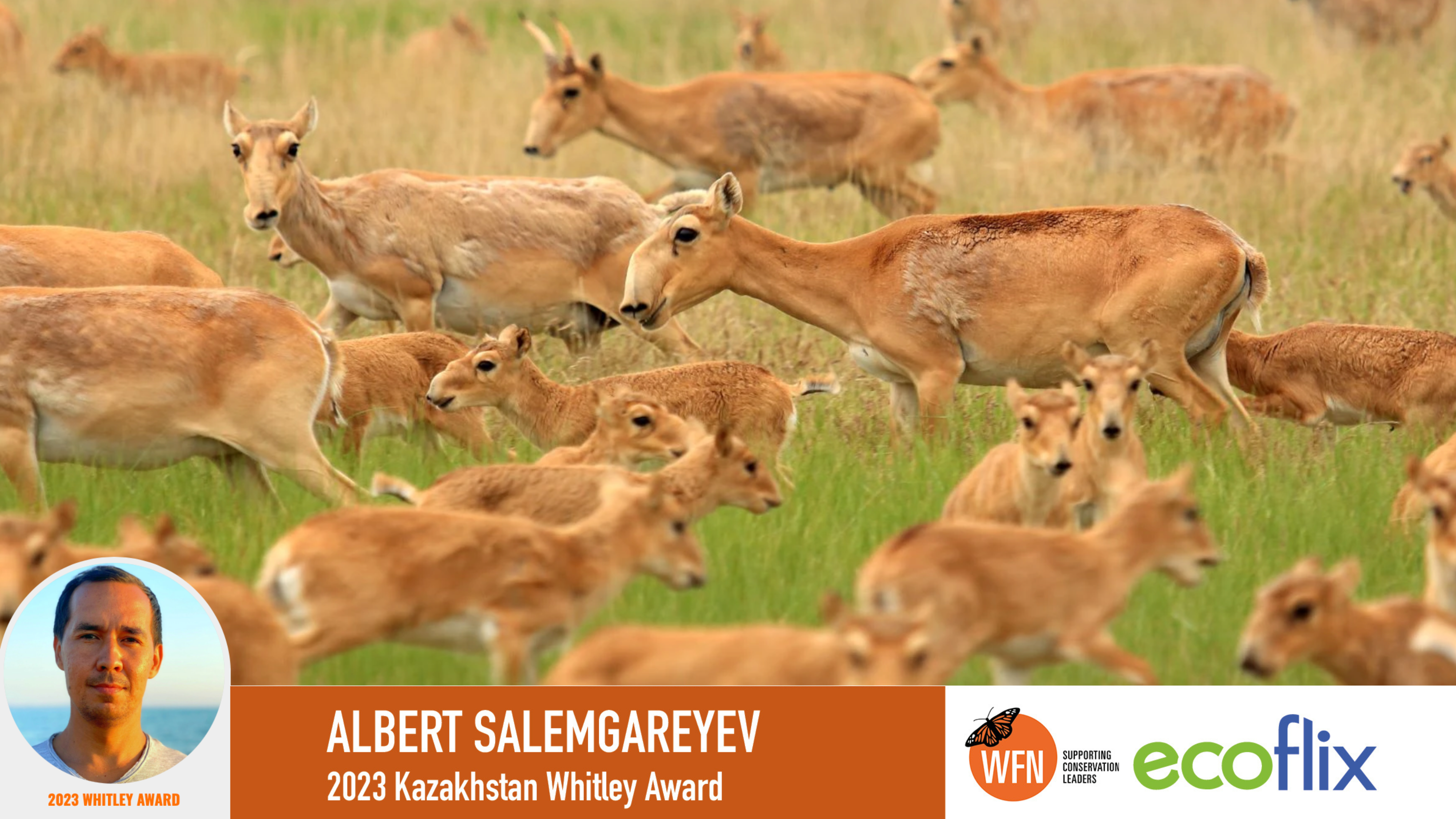 Whitley Fund for Nature Albert Salemgareyev 2023 Winner Kazakhstan 