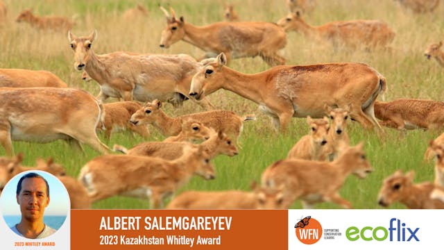 Whitley Fund for Nature Albert Salemg...