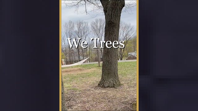 We Trees