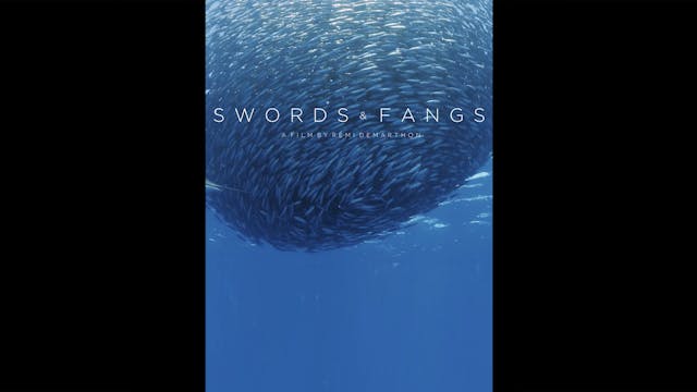 Swords And Fangs Teaser WCFF2023