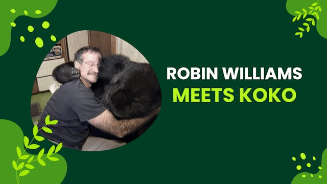 Koko Meets Robin Williams