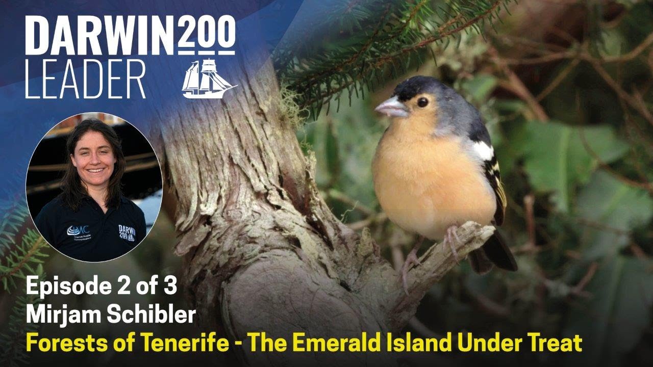 Darwin 200 Forests of Tenerife - The Emerald Island Under Threat - Episode 2 