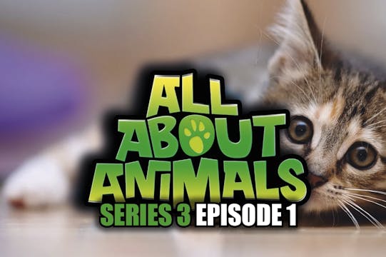 All About Animals - Series 3 - Episode 1