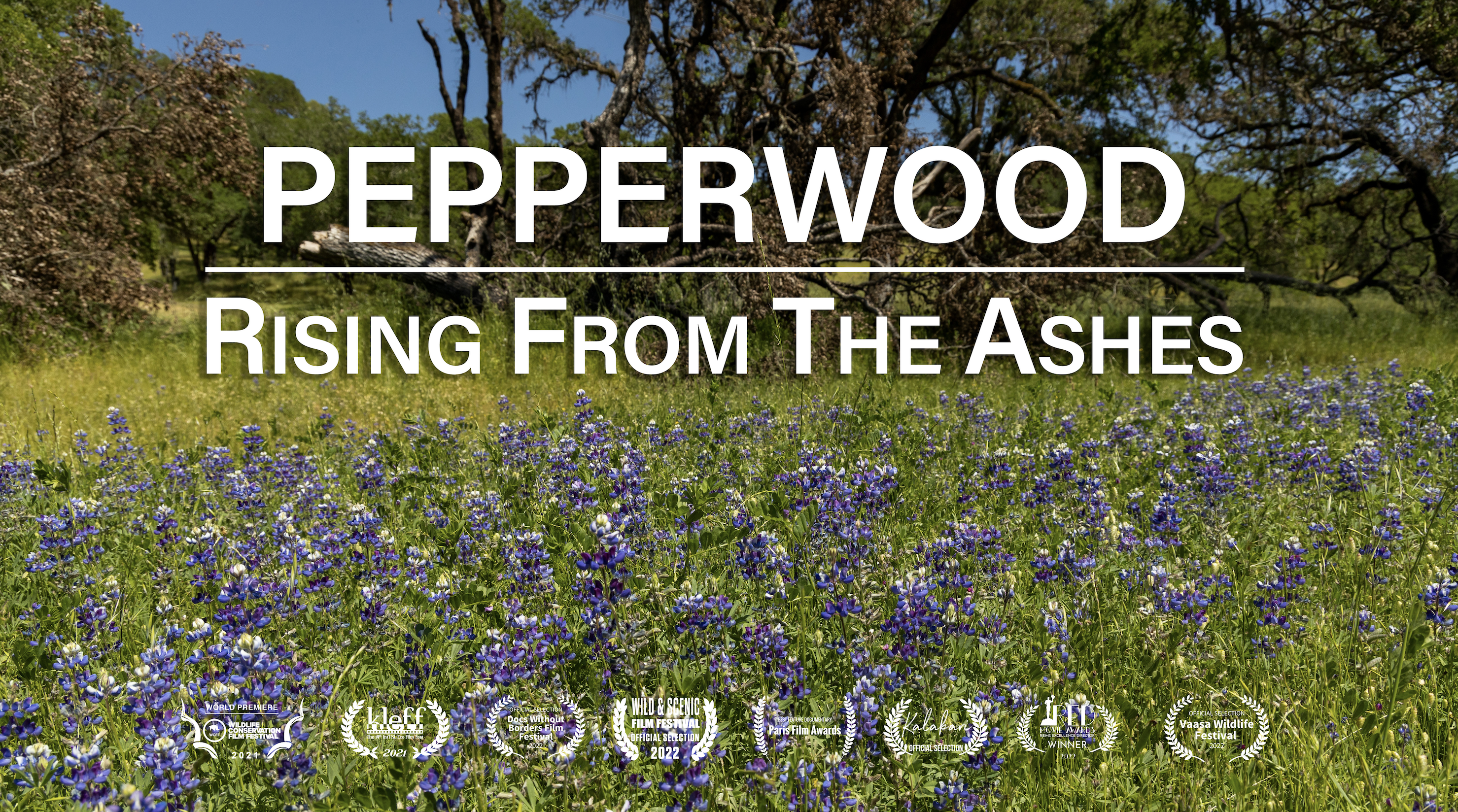 Pepperwood: Rising From The Ashes 