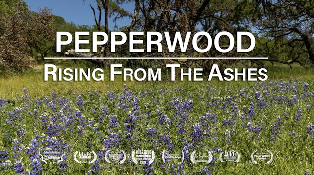 Pepperwood: Rising From The Ashes