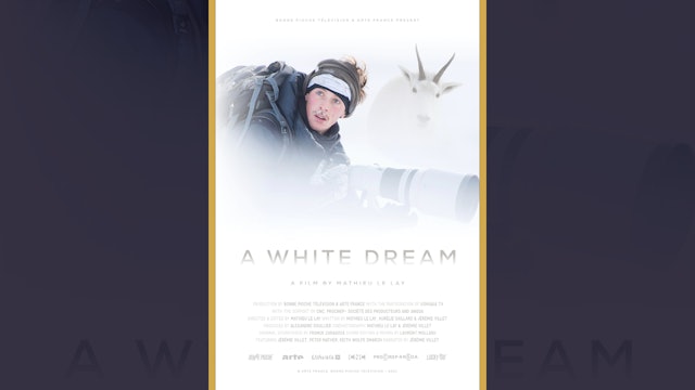 A White Dream (Trailer)