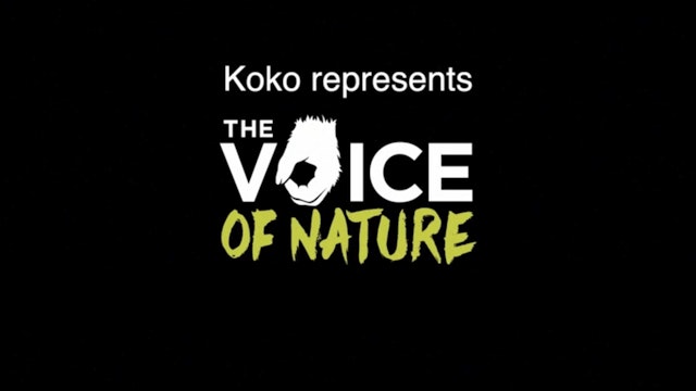 Koko PSA - COP26 Voice of Nature 2022