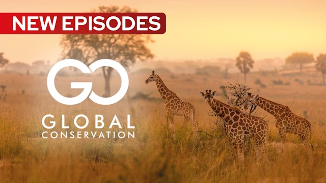 Global Conservation