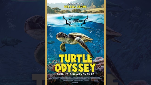 Turtle Odyssey (Trailer)