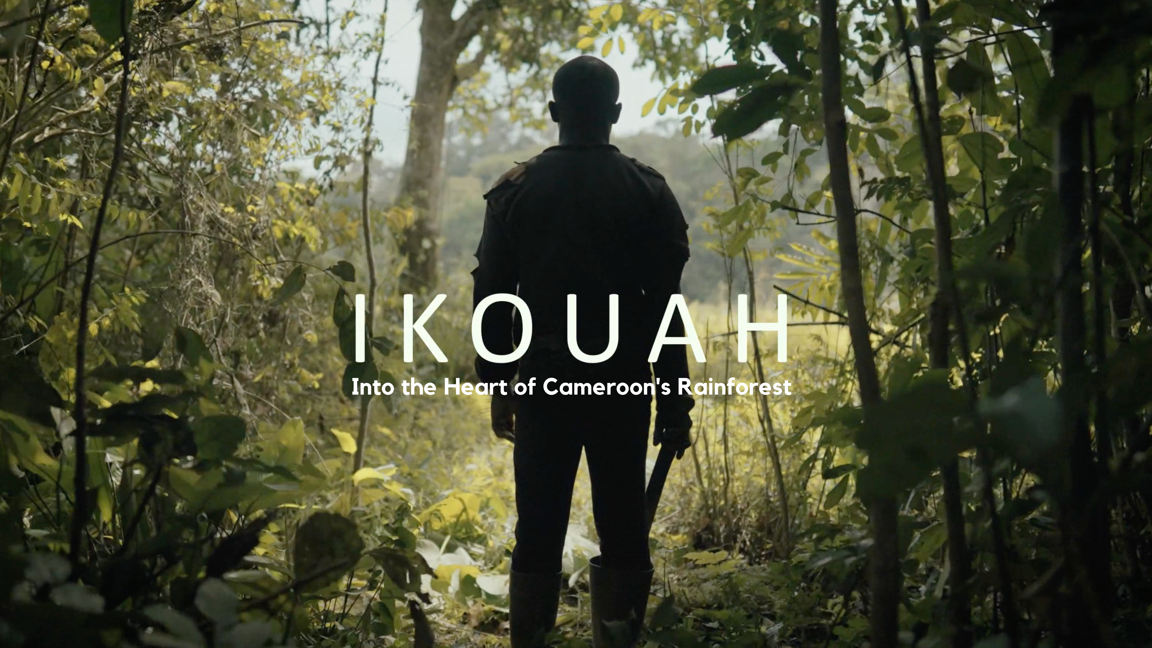 Ikouah: Into the Heart of Cameroon's Rainforest 