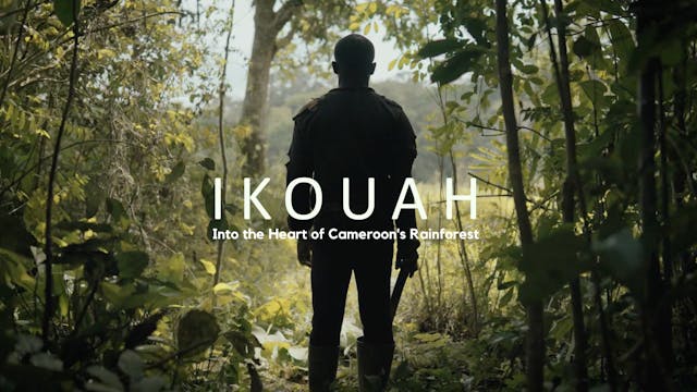 Ikouah: Into the Heart of Cameroon's ...