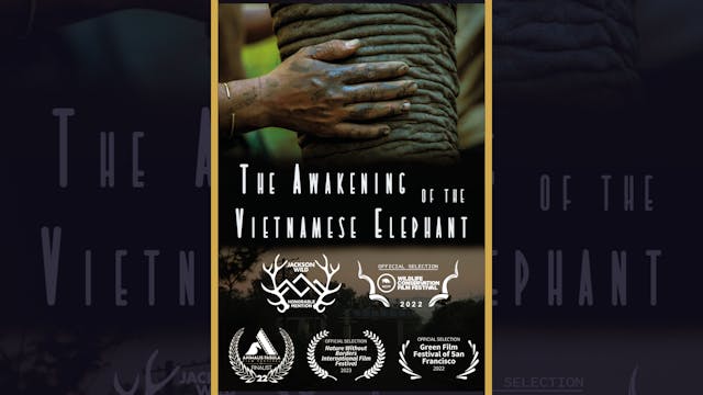 The Awakening of the Vietnamese Elephant