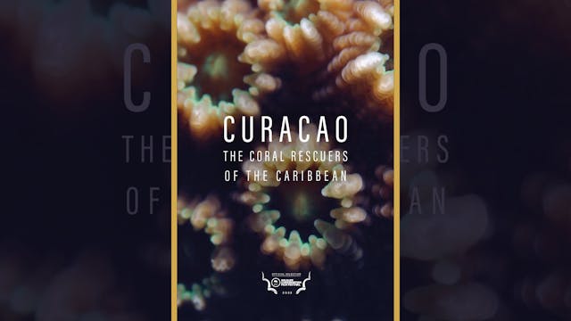 Curacao: The Coral Rescuers of the Caribbean (Trailer)