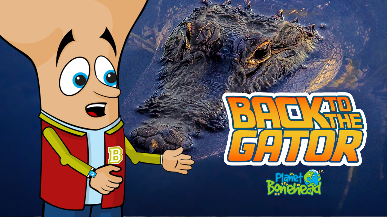 Planet Bonehead - Episode 7: Back to the Gator