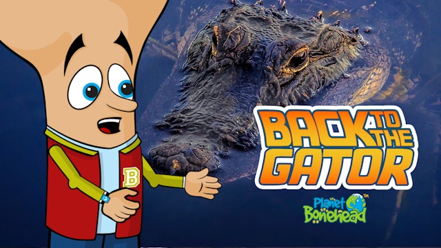 Planet Bonehead - Episode 7: Back to the Gator