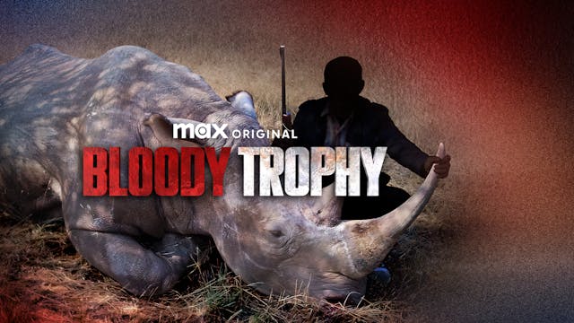 Bloody Trophy WCFF 2025