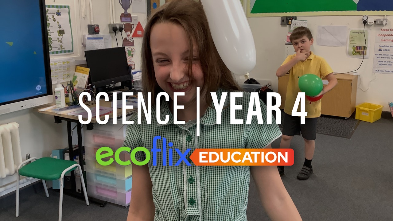 Science: Year 4