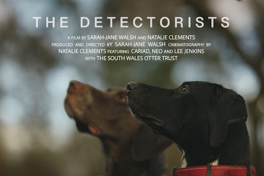 The Detectorists WCFF 2025