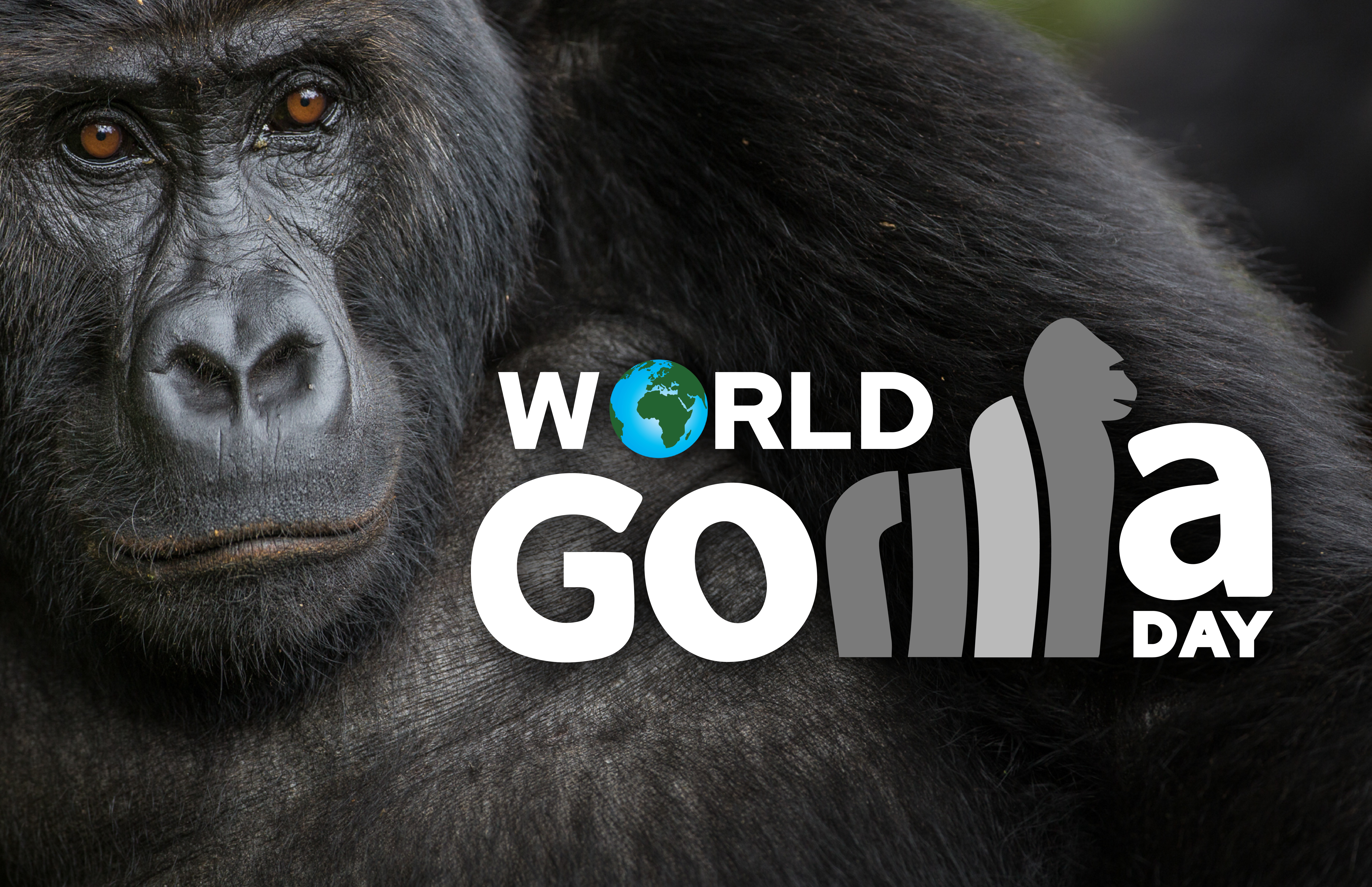 World Gorilla Day